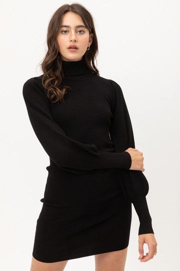 Turtle Neck Sweater Dress - Fashion Quality Boutik